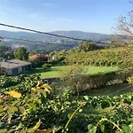 Tatil Evi Casa D'avo Maria - Paraiso No Campo - 10pax, Com Piscina, Vistas E Vinhas *