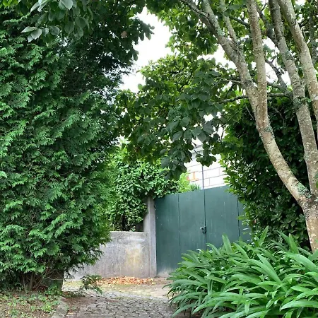 Casa D'avo Maria - T5 - Rural Ate 10pax Marco de Canavezes