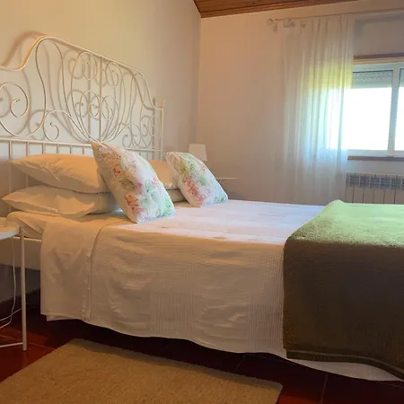 Casa D'avo Maria - T5 - Rural Ate 10pax Holiday home Marco de Canaveses