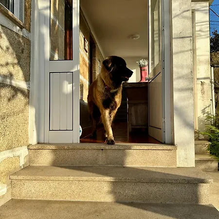 Casa D'avó Maria - T5 - Rural Até 10pax Casa vacanze Marco de Canavezes