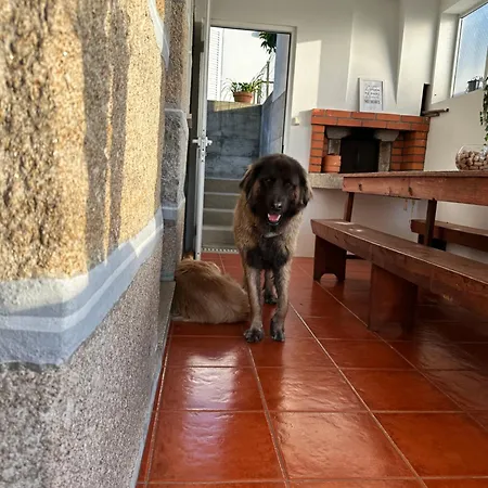 度假居 Casa D'avo Maria - T5 - Rural Ate 10pax