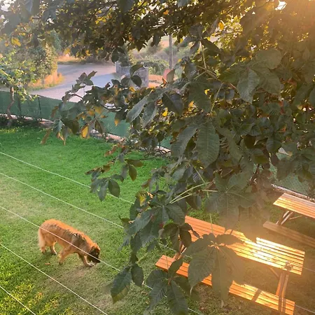 Casa D'avo Maria - Paraiso No Campo - 10pax, Com Piscina, Vistas E Vinhas