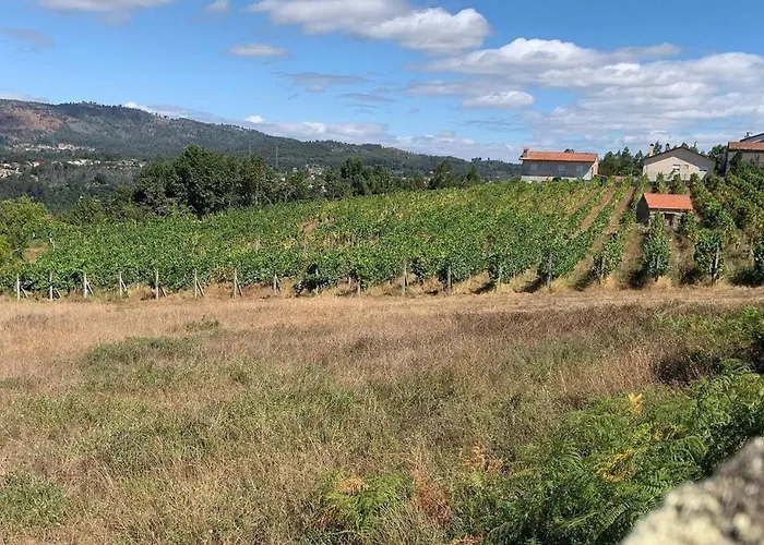 Casa D'Avo Maria - Paraiso No Campo - T5 Com Piscina, Vistas E Vinhas 度假居