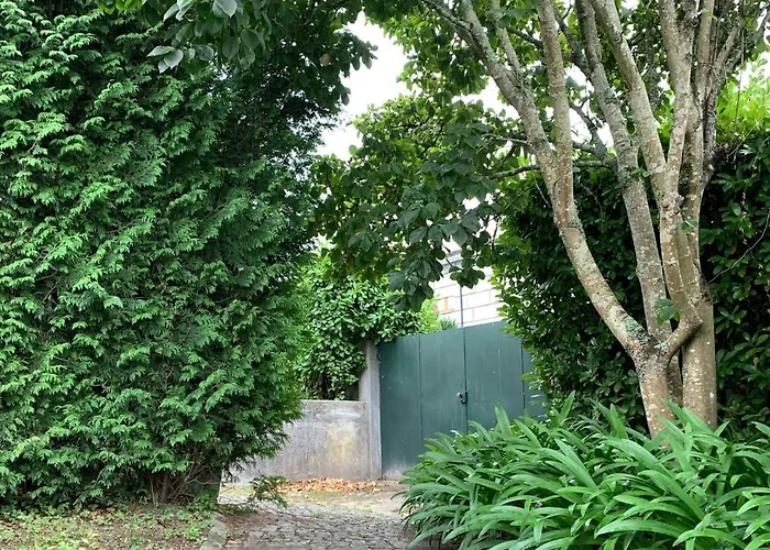 Casa D'Avo Maria - Paraiso No Campo - T5 Com Piscina, Vistas E Vinhas Marco de Canavezes