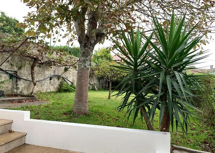 Casa D'Avo Maria - Paraiso No Campo - T5 Com Piscina, Vistas E Vinhas 度假居 Marco de Canavezes