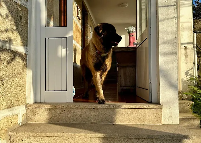 Casa D'avo Maria - T5 - Rural Ate 10pax Dom wakacyjny Marco de Canavezes