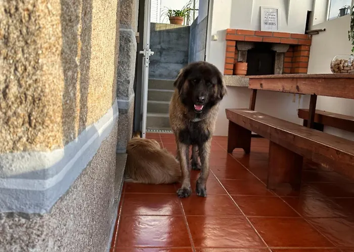 Dom wakacyjny Casa D'avo Maria - T5 - Rural Ate 10pax